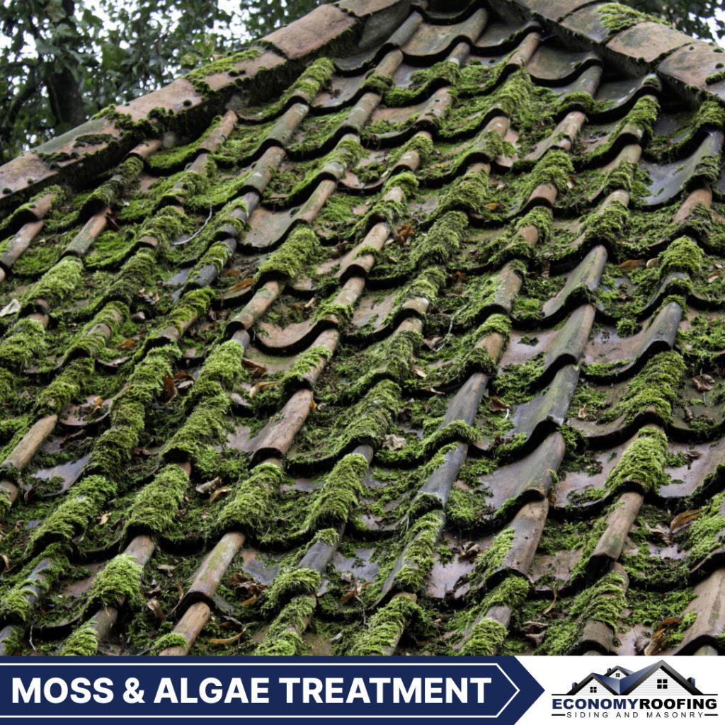 Moss & Algae Treatment