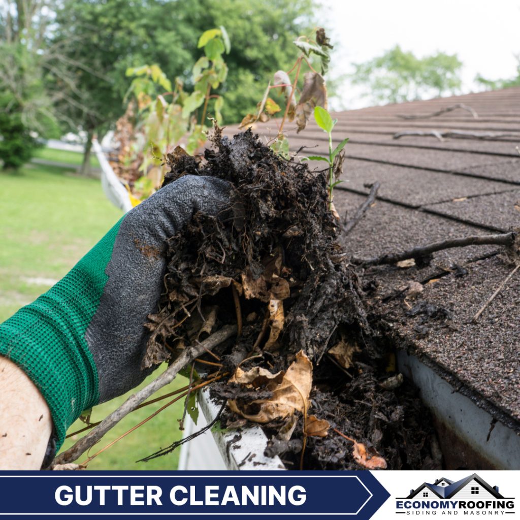 Gutter Cleaning