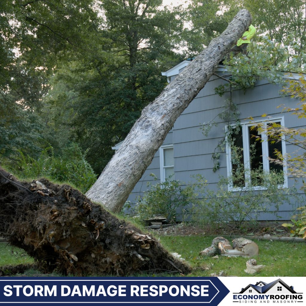 Storm Damage Response